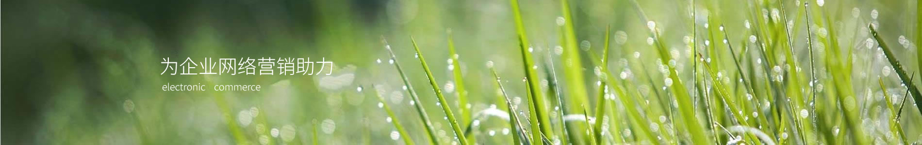ٳɵӿƼ޹˾